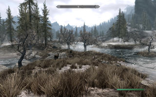 Elder Scrolls V: Skyrim, The